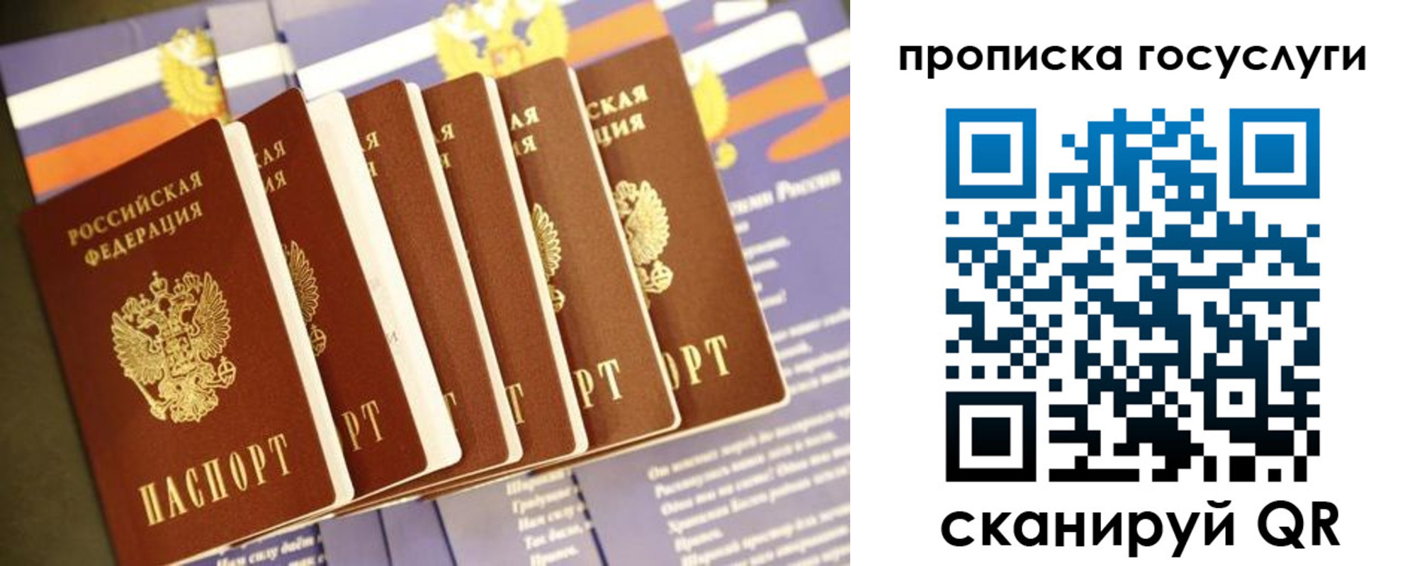 временная регистрация 2025 в Тогучине